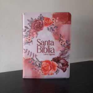 Santa Biblia Letra Gigante